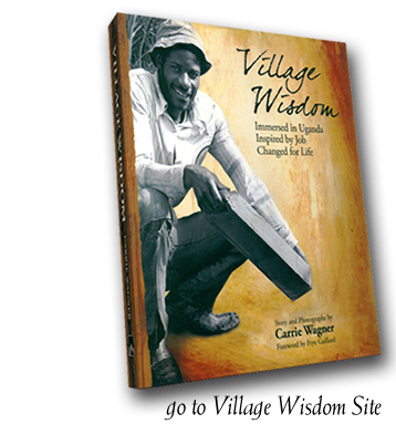 Go to Village Wisdom Book Site